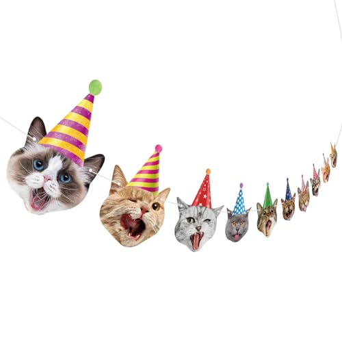 Hooqict Katzengeburtstagsbanner Geburtstagsparty-Dekorationen für Hintergrund Katze Happy Birthday Banner Girlande Schild für Mädchen Jungen Kinder 1. 2. 3. Partyzubehör zum Aufhängen von Hooqict