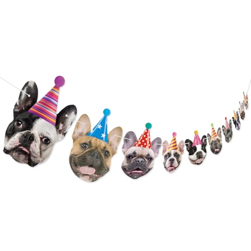 Hooqict Hundegeburtstagsbanner Hund Geburtstag Party Dekorationen Hund Girlande Banner Lustige Französische Bulldogge Gesicht Happy Birthday Schild für Hintergrund Haustier Welpen Thema Geburtstag von Hooqict