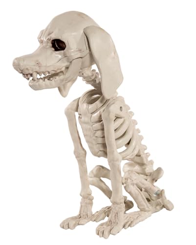 Horror-Shop Pudel Hundeskelett als Halloween Dekoration 25 cm von Horror-Shop