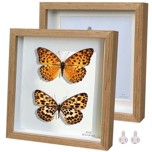 3D Dunkles Holz Bilderrahmen quadratisch 20x20cm Objektrahmen 2er-Pack Schattenbox Fotorahmen Hergestellt aus Massivholz und Echtglas Tiefe 1,5 cm von Houstimi