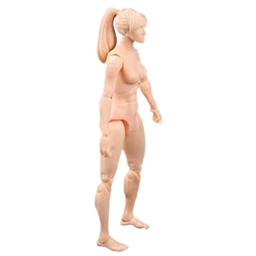 Hperu Zeichnungsfigur Modell, Aktionsfigur Körper, 4,1 Zoll PVC Blind -Aktion -Figur, DIY -Poable -Figur, Sammelmalbare Zeichnung, Hautfarbe/Weibchen von Hperu