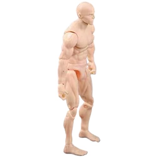 Hperu Zeichnungsfigur Modell, Aktionsfigur Körper, 4,1 Zoll PVC Blind -Aktion -Figur, DIY -Poable -Figur, Sammelmalbare Zeichnung, Hautfarbe/männlich von Hperu