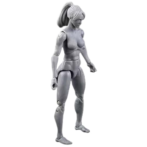 Hperu Zeichnungsfigur Modell, Aktionsfigur Körper, 4,1 Zoll PVC Blind -Aktion -Figur, DIY -Poable -Figur, Sammelmalbare Zeichnung, grau/weiblich von Hperu