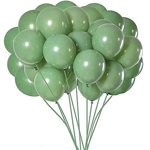 Hreyywo 100 StüCk GrüNe Luft Ballons Oliv GrüNe Luft Ballons Eukalyptus Party Latex Ballon 12 für Frauen MäNner Geburtstag Baby Hochzeit von Hreyywo