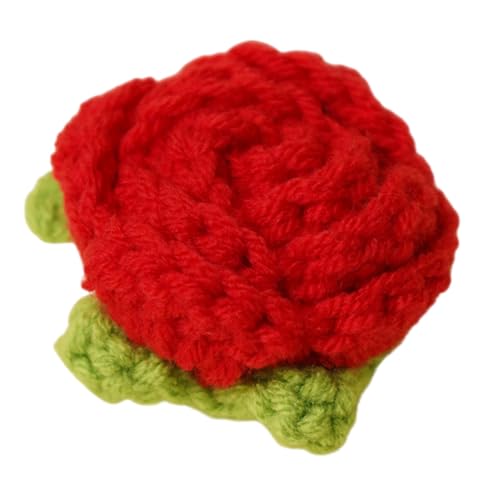 Hrtyvhin Schöne Häkelblumen Fertige Handgefertigte Blumen Gestrickte Blumen Schöne Blumen Für Freund von Hrtyvhin