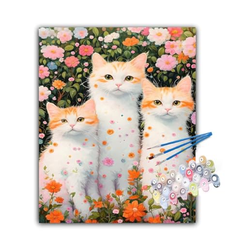 Malen Nach Zahlen Erwachsene Katze,Malen Nach Zahlen Chrysantheme Malen Nach Zahlen Kinder,DIY Handgemalt Ölgemälde Kreativ Set mit 3-Pinseln und Acrylfarben,Deko Wohnzimmer,Ohne Rahmen 50x60cm Hs-744 von Hsqpoobd