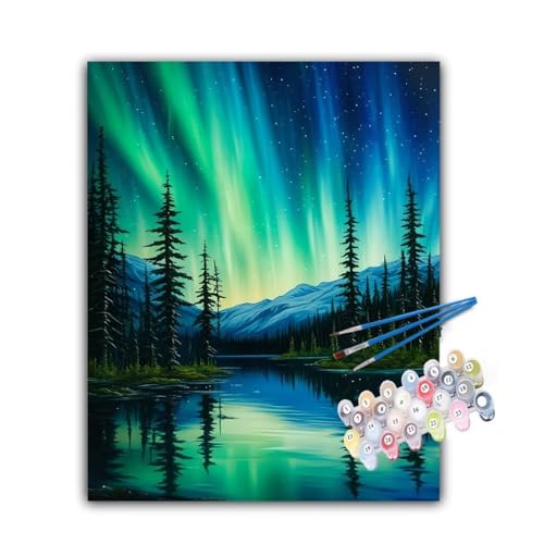 Malen Nach Zahlen Erwachsene Landschaft,Malen Nach Zahlen Aurora Malen Nach Zahlen Kinder,DIY Handgemalt Ölgemälde Kreativ Set mit 3-Pinseln und Acrylfarben,Deko Wohnzimmer,Ohne Rahmen 20x30cm Hs-722 von Hsqpoobd