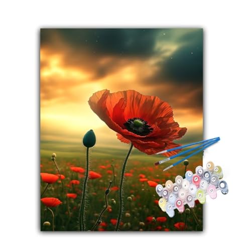 Malen Nach Zahlen Erwachsene Mohn, Malen Nach Zahlen Himmel Malen Nach Zahlen Kinder, DIY Handgemalt Ölgemälde Kreativ Set mit 3-Pinseln und Acrylfarben, Deko Wohnzimmer, Ohne Rahmen 100x130cm Hs-902 von Hsqpoobd