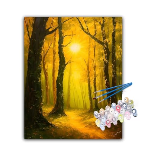 Malen Nach Zahlen Erwachsene Wald,Malen Nach Zahlen Sonnenlicht Malen Nach Zahlen Kinder,DIY Handgemalt Ölgemälde Kreativ Set mit 3-Pinseln und Acrylfarben,Deko Wohnzimmer,Ohne Rahmen 40x50cm Hs-764 von Hsqpoobd