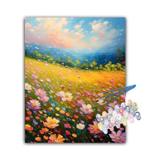 Malen Nach Zahlen Erwachsene Wolken, Malen Nach Zahlen Anlage Malen Nach Zahlen Kinder, DIY Handgemalt Ölgemälde Kreativ Set mit 3-Pinseln und Acrylfarben, Deko Wohnzimmer, Ohne Rahmen 50x60cm Hs-742 von Hsqpoobd