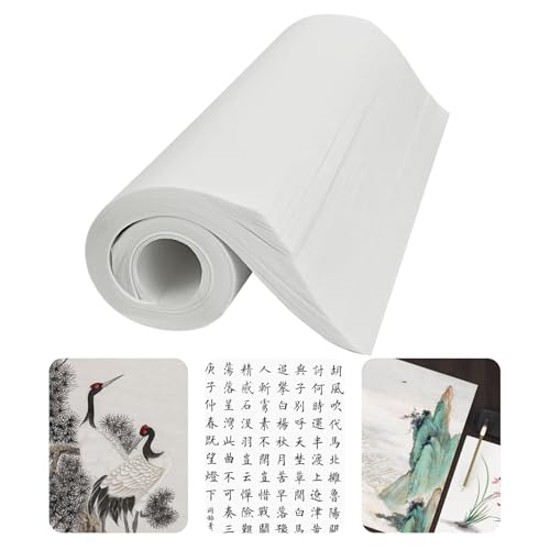 Hugwish 120pcs reispapier xuan papier, chinesische kalligraphie papier weiß, reispapier kalligraphie 35 x 25cm chinesische Kalligrafie, chinesische Malerei (Gekochtes Xuan-Papier) von Hugwish