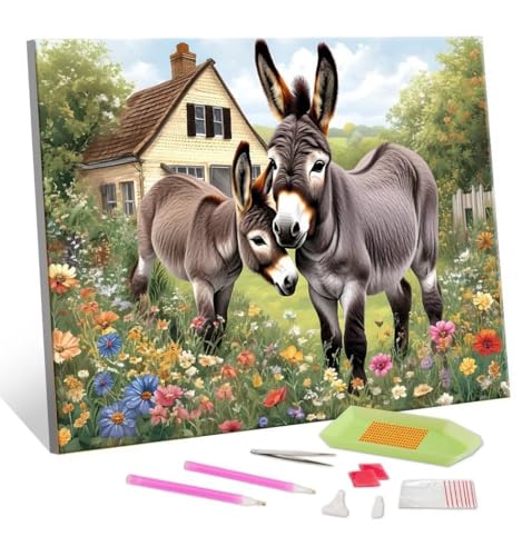 5D Diamond Painting Erwachsene Kits, DIY Farm Esel Diamond Painting Bilder, Mosaikherstellung Malen Nach Zahlen Full Drill Stickerei Malerei Kits für Home Weihnachten Wand Décor 100x130cm S-210 von Hyupuanj