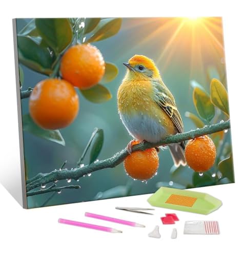 5D Diamond Painting Erwachsene Kits, DIY Vögel Diamond Painting Bilder, Mosaikherstellung Malen Nach Zahlen Full Drill Stickerei Malerei Kits für Home Weihnachten Wand Dekorieren 40x50cm S-205 von Hyupuanj