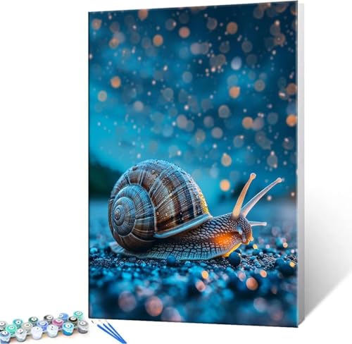 Malen Nach Zahlen Erwachsene Schnecke - Malen Nach Zahlen für Kinder AnfäNger, Knitterfreie Leinwand, Pinsels Und Acrylfarbe - ohne Rand DIY Handgemalt öLgemäLde Kit Als Geschenk 20x30 cm L-727 von Hyupuanj