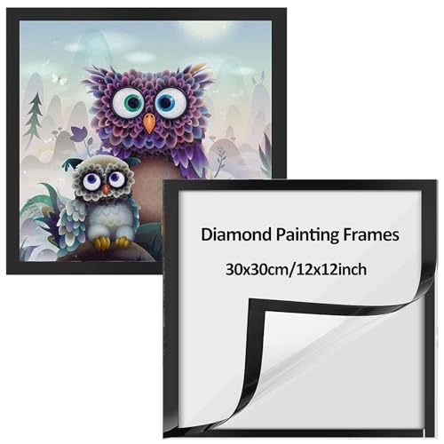 Hyxodjy 2 Pack Diamond Painting Rahmen,Diamond Painting Bilderrahmen 30x30 cm，Selbstklebend Magnetisch Bilderrahmen 5D Diamond Painting Rahmen Picture for Diamant Malerei (Schwarz) von Hyxodjy