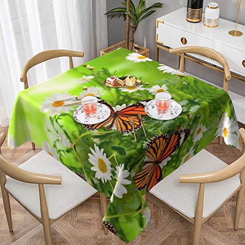 Hzhuaoeg Quadratische Tischdecke, Motiv: Schmetterling auf Gänseblümchen, waschbar, Polyester, Tischdecke für Küche, Esstisch, 137 x 137 cm von Hzhuaoeg