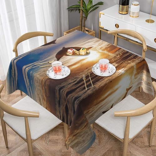 Hzhuaoeg Quadratische Tischdecke mit lustigem Delfin, waschbar, Polyester-Stoff für Küche, Esstisch, 137 x 137 cm von Hzhuaoeg