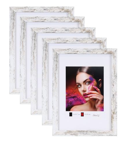 IDEAL TREND 2er 3er 5er Set Holz Bilderrahmen Lifestyle Plexi Foto Rahmen Collage Wanddeko Poster HR-25: Farbe: 5er Pack Shabby Weiß | Format: 20x30 von IDEAL TREND