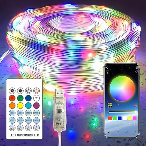 Weihnachtslichter, USB-5V Smart Lichterkette, Kupferdraht Smart Lichterkette, 24 Tasten Lichterkette mit Fernbedienung Musik & Sprachsynchronisation, Weihnachtsbeleuchtung für Partys, Häuser, Hotels von IDIDOS