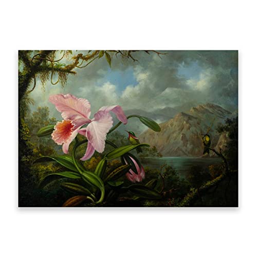 IKYE Berühmte Gemälde von Martin Johnson Heade drucken auf Leinwand. (Rosa Blüten) Ölgemälde-Reproduktion. Leinwand Wandkunst Wohnzimmer Dekor Bild 70x98cm(27.5x38.6in) Rahmenlos von IKYE