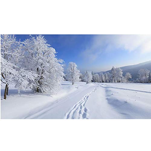 IKYE Winterschnee; Winterlandschaft Poster und Drucke. Naturlandschaft Leinwand Wandkunst Bilder. Wohnkultur 30 x 54 cm (11,8 x 21,3 Zoll) rahmenlos von IKYE