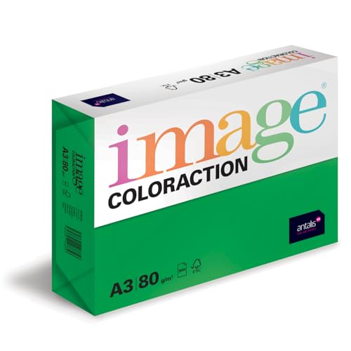 Image Coloraction Dublin - farbiges Kopierpapier - DIN A3, 297 x 420 mm, 80 g/m² - buntes, holzfreies Druckerpapier für Kopierer - 500 Blatt - Dunkelgrün von IMAGE