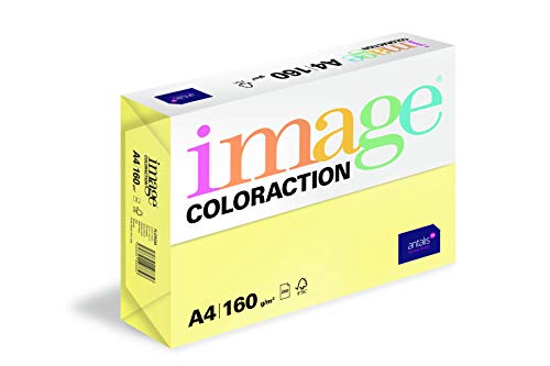 Image Coloraction Farbpapier Florida, 160 g/m², A4, 5 x 250 Blatt von IMAGE