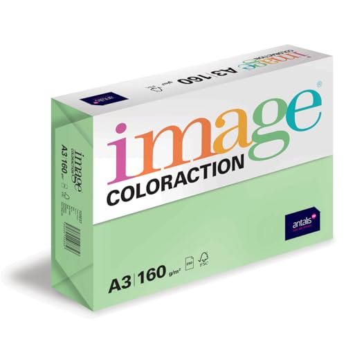 Image Coloraction Forest - farbiges Kopierpapier - DIN A3, 297 x 420 mm, 160 g/m² - buntes, holzfreies Druckerpapier für Kopierer - 250 Blatt - Grün von IMAGE