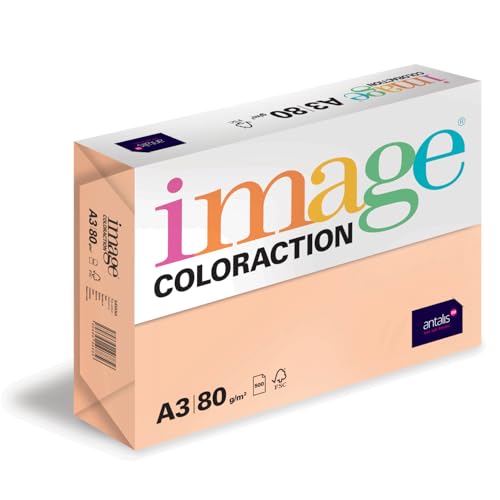 Image Coloraction Savana - farbiges Kopierpapier - DIN A3, 297 x 420 mm, 80 g/m² - buntes, holzfreies Druckerpapier für Kopierer - 500 Blatt - Salm von IMAGE