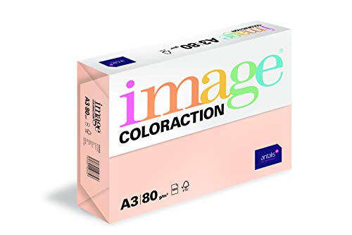 Image Coloraction Savana - farbiges Kopierpapier - DIN A3, 297 x 420 mm, 80 g/m² - buntes, holzfreies Druckerpapier für Kopierer - 500 Blatt - Salm von IMAGE