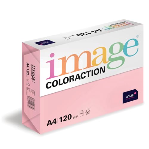 Image Coloraction Tropic - farbiges Kopierpapier - DIN A4, 210 x 297 mm, 120 g/m² - buntes, holzfreies Druckerpapier für Kopierer - 250 Blatt - Hellrosa von IMAGE