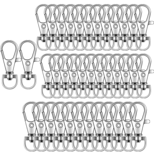 100 Stück Premium Schlüsselanhänger-Clips, Karabinerhaken, Schlüsselanhänger, Haken von IPXEAD