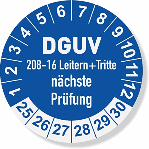 DGUV 208-16 Prüfplaketten 2025 Ø 30 mm: mehrjährig - 250 Stück - aus hochwertiger Haftfolie - Staffelpreise für Businesskunden ab 3, 6, 11 VE von IQM TOOLS