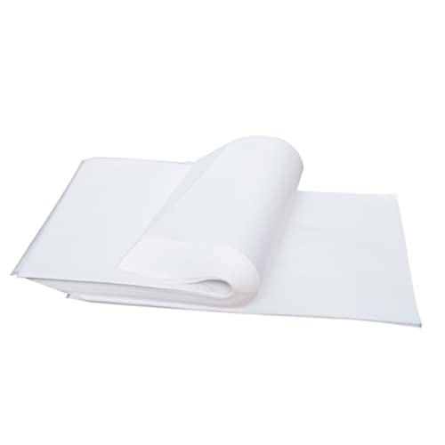 IWOWHERO 500 Blatt Kleines Transparentpapier Xuan-reispapier Pergament-pauspapier Japanisches Kalligraphiepapier Chinesisches Tintenpapier Linyi-papier Manga Abs Weiß Schablone Kraftpapier von IWOWHERO