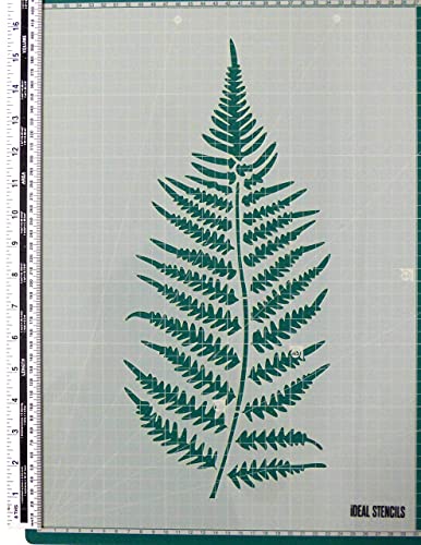 Farn Blatt Schablone -reusable Heim Dekor Schablone Hergestellt aus Waschbar Plastik - Farbe Design auf Wände, Stoff, Möbel von Ideal Stencils