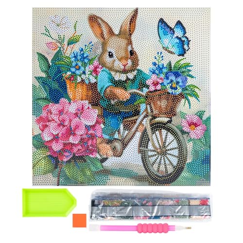 Ideen mit Herz Diamond-Painting-Motivleinwand auf Keilrahmen | 30 cm x 30 cm | Set inkl. Werkzeug (Hase mit Fahrrad) von Ideen mit Herz