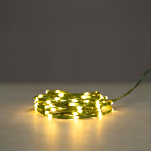 Ideen mit Herz LED-Micro-Lichterkette | warmweiß | 100 LEDs | innen & außen | inkl. Timer (dunkelgrün) von Ideen mit Herz