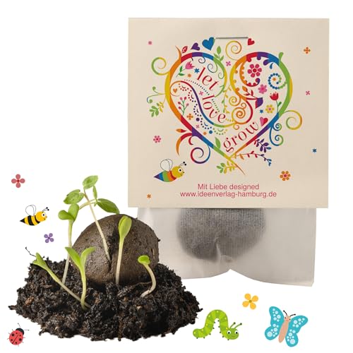 Ideenverlag HAMBURG 10x Let Love Grow Samenbomben - kleines Geschenk & Mitgebsel - Saatbomben für LGBTQ, Kollegen & Gäste - Blumenbomben, Blumensamen & Blumenkugeln als Zeichen für Toleranz und Liebe von Ideenverlag HAMBURG