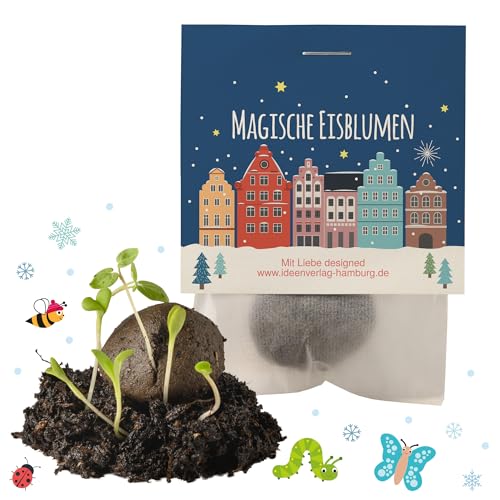 Ideenverlag HAMBURG 10x Winterlandschaft Winter Samenbomben/Treiben aus bei Kälte/kleine Geschenke Kollegen Saatbomben Gäste Gastgeschenk Kinder Dankeschön Kleinigkeiten von Ideenverlag HAMBURG