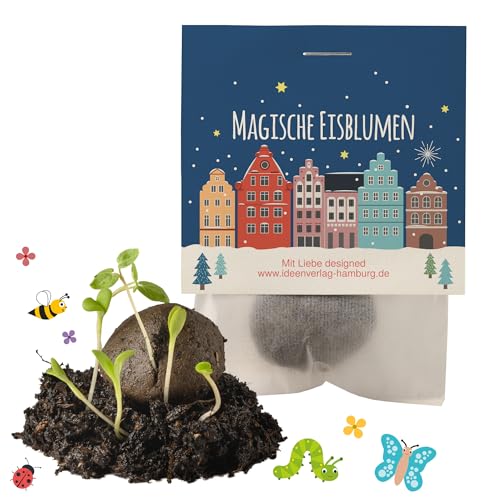 10x "Winterlandschaft" Winter Samenbomben / treiben aus bei Kälte / kleine Geschenke Kollegen Saatbomben Gäste Gastgeschenk Kinder Dankeschön Kleinigkeiten von Ideenverlag HAMBURG