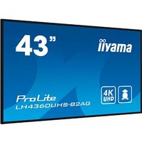 iiyama ProLite LH4360UHS-B2A UHD-Display 108,0 cm (43,0 Zoll) von Iiyama