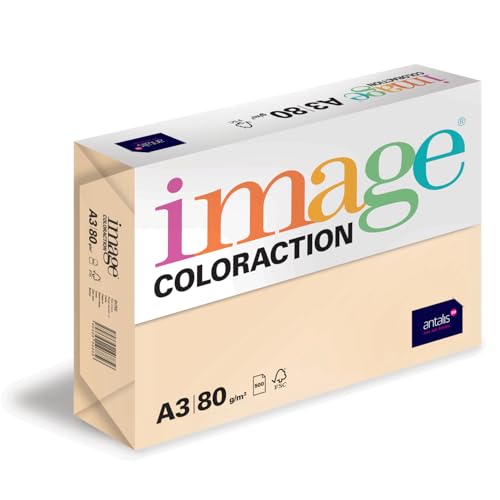 Image Coloraction Dune - farbiges Kopierpapier - DIN A3, 297 x 420 mm, 80 g/m² - buntes, holzfreies Druckerpapier für Kopierer - 500 Blatt - Creme von Image Coloraction