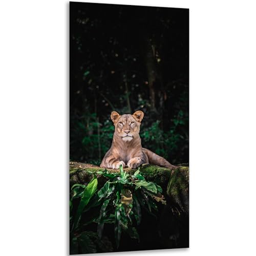 Instarry 5D DIY Diamond Painting Set Full Groß Löwenwald Wall Decor 100x50 cm von Instarry