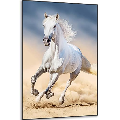 Instarry 5D DIY Diamond Painting Zubehör Full Groß weißes Pferd Indie Room Decor 60x40 cm von Instarry