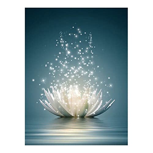 Instarry 5D Diamond Painting Groß weißer Lotus Home Decoration 60x50 cm von Instarry