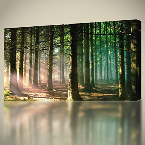 Instarry 5D Diamond Painting Set Groß Wald am frühen Morgen Aesthetic Room Decor 120x60 cm von Instarry