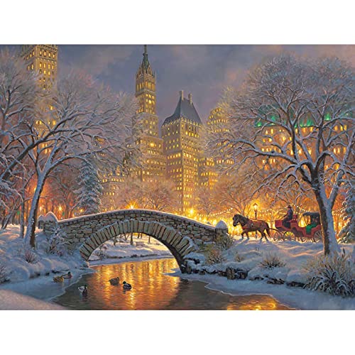 Instarry 5D Diamond Painting Zubehör Groß Brücke im Park Wall Decor 90x60 cm von Instarry