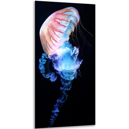 Instarry 5D Diamond Painting Zubehör Groß Bunte Quallen Room Decor 80x40 cm von Instarry