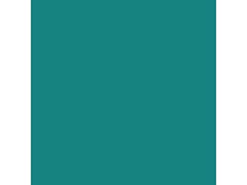 Iris 400080160 – Pack von 25 Blatt Fotokarton, 51 x 65 mm, 185 g, Farbe Grün von Iris