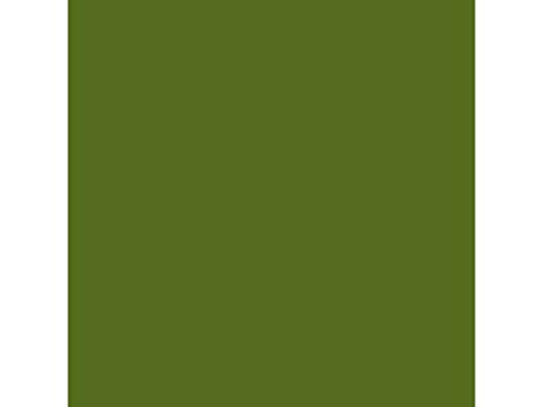 Cartulina guarro verde safari 50x65 cm 185 gr von Iris